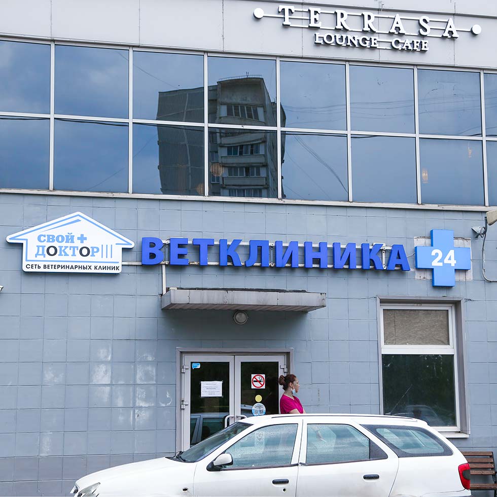 Изготовление вывески ветклиника. Ветеринарные вывески